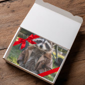 Raccoon Pilot Airplane Funny Birthday Decoupage Tissuepapier