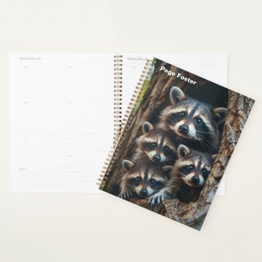 Raccoon Planner (Display)