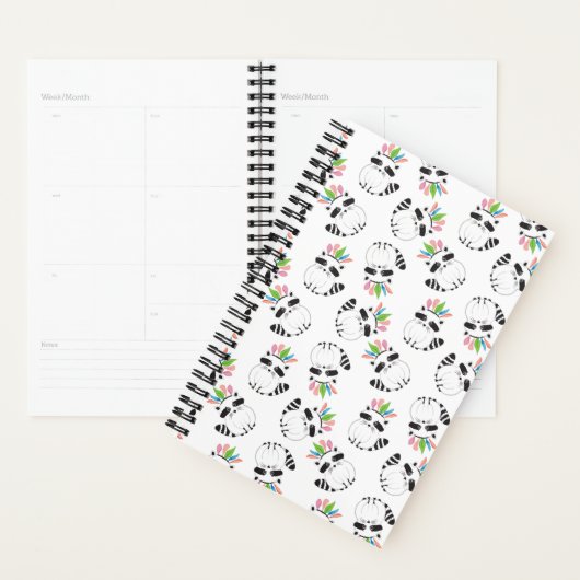 Raccoon Planner (Display)