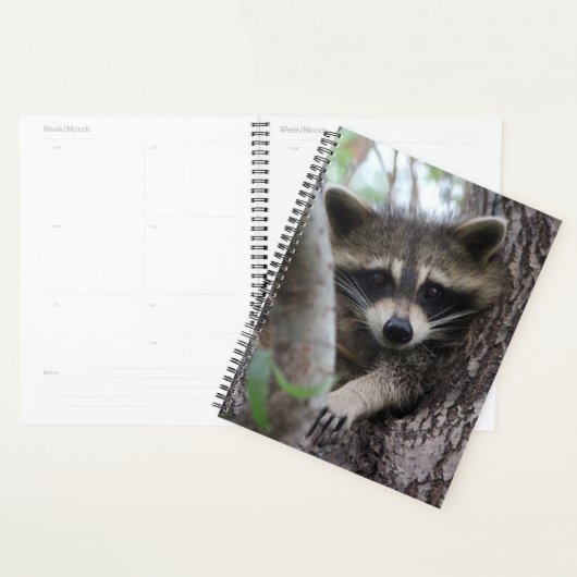 Raccoon Planner (Display)