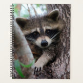 Raccoon Planner (Voorkant)