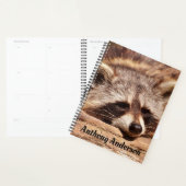 Raccoon Planner (Display)