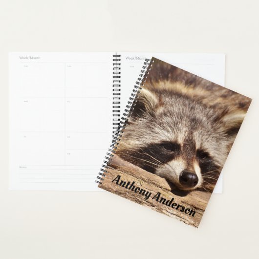 Raccoon Planner (Display)