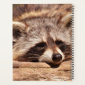 Raccoon Planner (Achterkant)