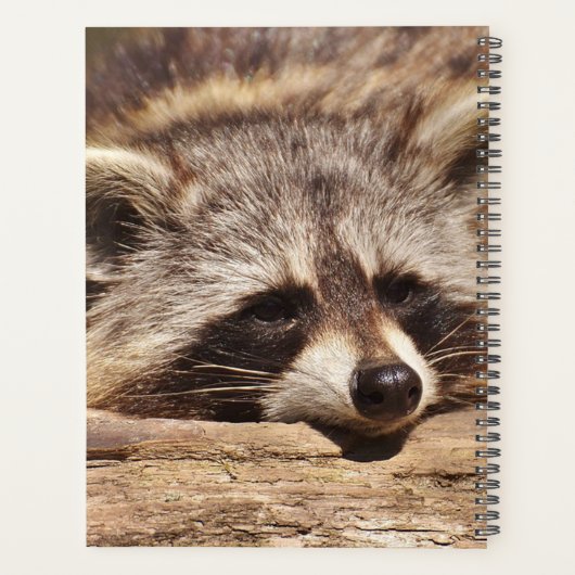 Raccoon Planner (Achterkant)