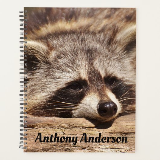 Raccoon Planner (Voorkant)