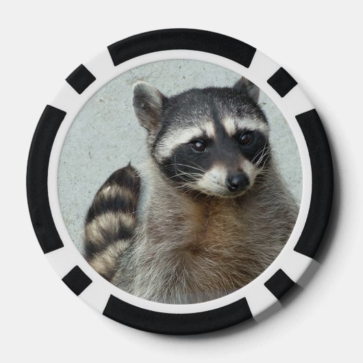 Raccoon Pokerchips (Achterkant)