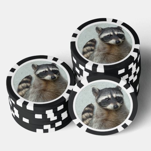 Raccoon Pokerchips (Opstapeling)