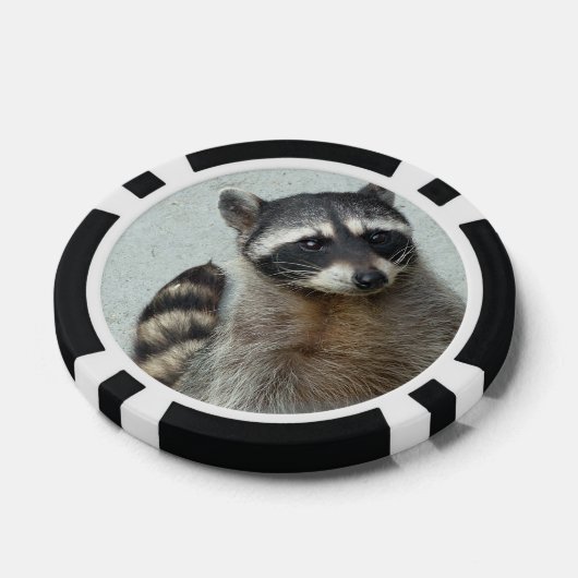 Raccoon Pokerchips (Enkel)