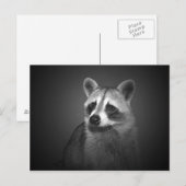Raccoon Portrait Briefkaart (Voorkant / Achterkant)