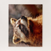 Raccoon Portrait, Jigzaag Puzzle Legpuzzel (Verticaal)