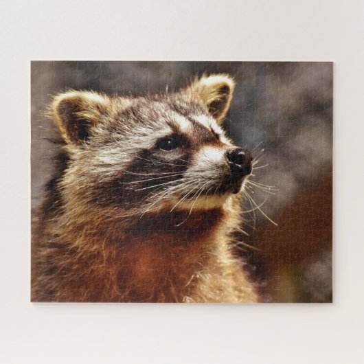 Raccoon Portrait, Jigzaag Puzzle Legpuzzel (Horizontaal)