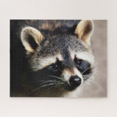 Raccoon Portrait, Jigzaag Puzzle Legpuzzel (Horizontaal)