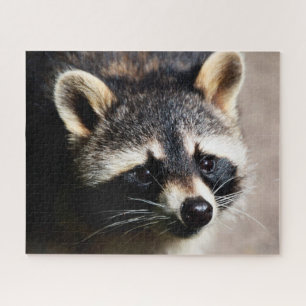Raccoon Portrait, Jigzaag Puzzle Legpuzzel