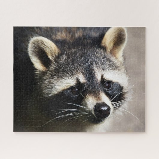 Raccoon Portrait, Jigzaag Puzzle Legpuzzel (Horizontaal)