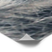 Raccoon Portrait Poster (Hoek)