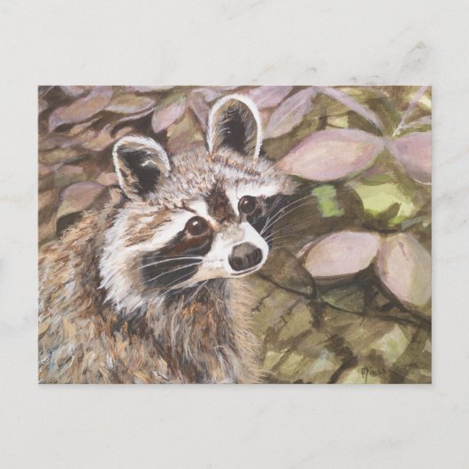 Raccoon Post Card Briefkaart (Voorkant)