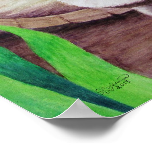 Raccoon Poster (Hoek)