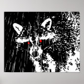 Raccoon Poster (Voorkant)