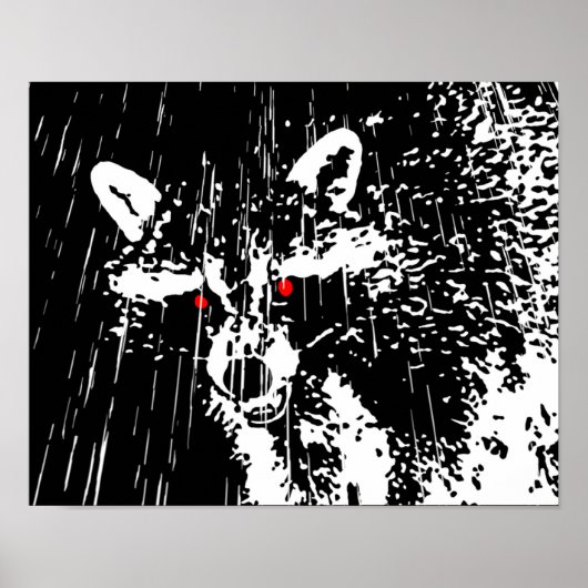 Raccoon Poster (Voorkant)