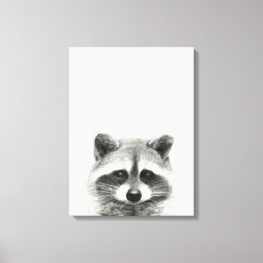 Raccoon potlood Tekening Canvas Afdruk (Voorkant)