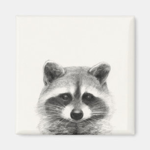 Raccoon potlood Tekening Magneet