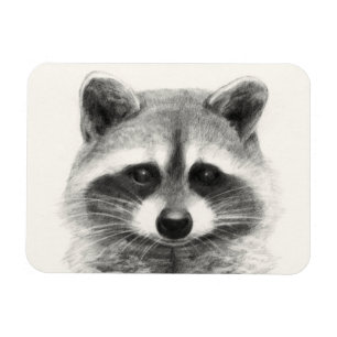 Raccoon potlood Tekening Magneet