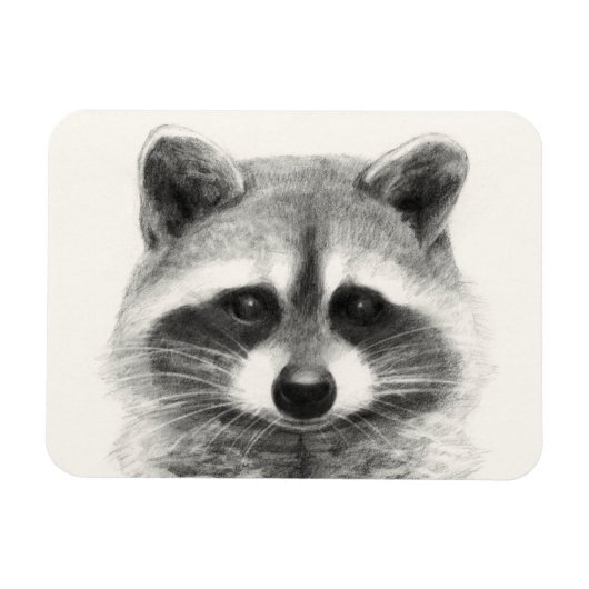 Raccoon potlood Tekening Magneet (Horizontaal)