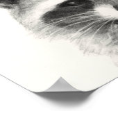 Raccoon potlood Tekening Poster (Hoek)