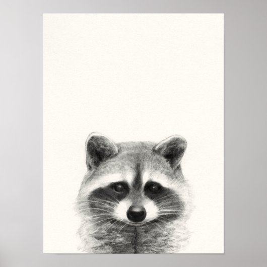 Raccoon potlood Tekening Poster (Voorkant)