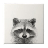 Raccoon potlood Tekening Tegeltje (Voorkant)