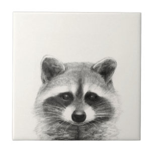 Raccoon potlood Tekening Tegeltje