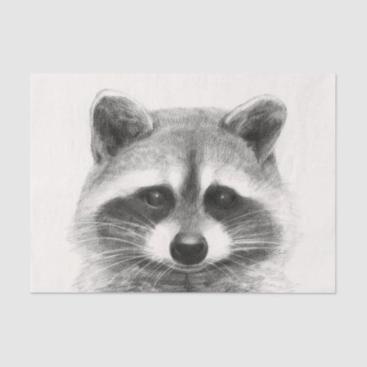 Raccoon potlood Tekening Tissuepapier (Voorkant)