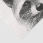 Raccoon potlood Tekening Tissuepapier (Detail)