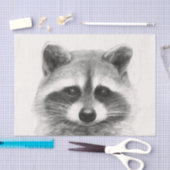 Raccoon potlood Tekening Tissuepapier (Craft)