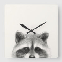 Raccoon potlood Tekening