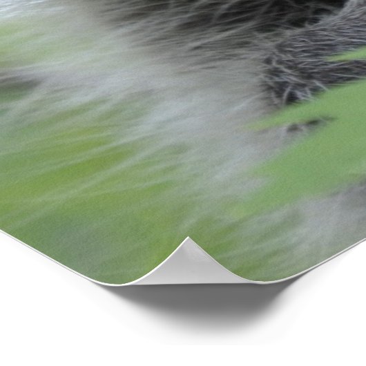 Raccoon Print - #1028 (Hoek)