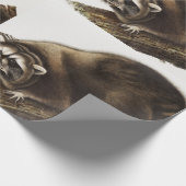 Raccoon (Procyonlotor) Illustratie Cadeaupapier (Hoek)