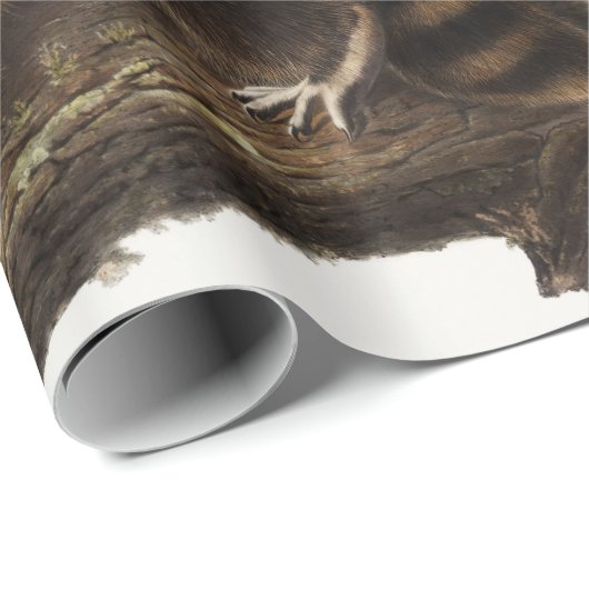 Raccoon (Procyonlotor) Illustratie Cadeaupapier (Rol Hoek)