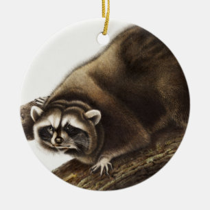 Raccoon (Procyonlotor) Illustratie Keramisch Ornament