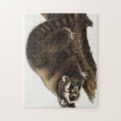 Raccoon (Procyonlotor) Illustratie Legpuzzel (Verticaal)