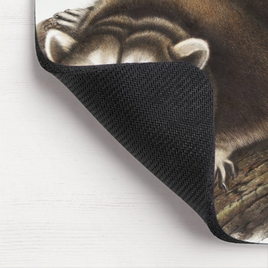 Raccoon (Procyonlotor) Illustratie Muismat (Hoek)