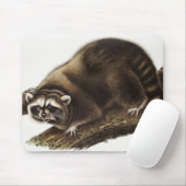 Raccoon (Procyonlotor) Illustratie Muismat (Met muis)