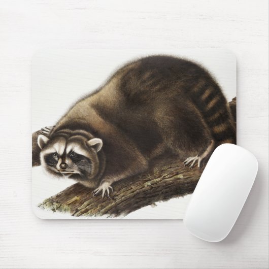 Raccoon (Procyonlotor) Illustratie Muismat (Met muis)