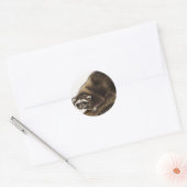Raccoon (Procyonlotor) Illustratie Ronde Sticker (Envelop)