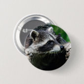 Raccoon profiel ronde button 5,7 cm (Voorkant /achterkant)