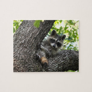 Raccoon - puzzel