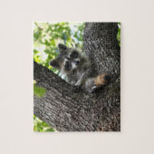 Raccoon - puzzel legpuzzel (Verticaal)