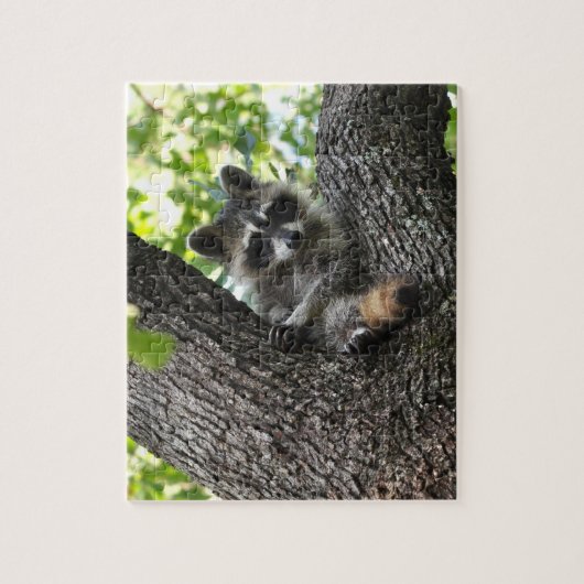 Raccoon - puzzel legpuzzel (Verticaal)