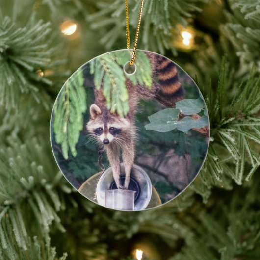 Raccoon Raiding the Bird Feeder Keramisch Ornament (Boom)